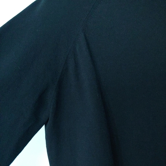 Aritzia Wilfred Free Black Turtleneck Pink Stripe Hem, XS - Picture 3 of 10